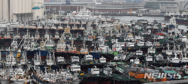 【부산=뉴시스】 하경민 기자= 제25호 태풍 '콩레이'(KONG-REY)가 북상 중인 가운데 5일 부산 동구 부산항 5부두에 각종 선박 수백 척이 피항해 있다. 2018.10.05. (사진=남해해경청 제공) yulnetphoto@newsis.com