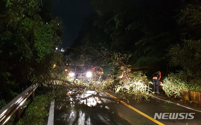 【부산=뉴시스】 하경민 기자 = 5일 오후 7시 14분께 부산 기장군 갈치고개에서 제25호 태풍 '퐁레이'의 영향으로 가로수가 쓰러져 지나가던 차량을 덮치는 사고가 발생했다. 2018.10.06. (사진=부산소방본부 제공)yulnetphoto@newsis.com