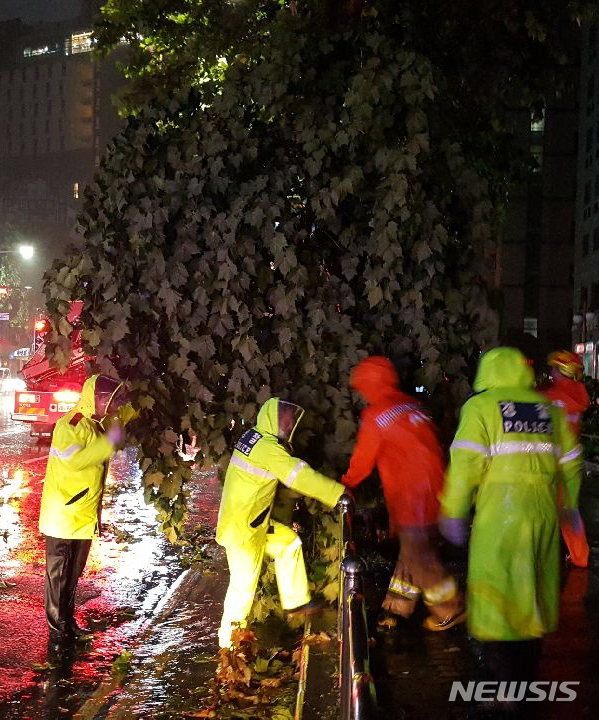 【부산=뉴시스】 하경민 기자 = 태풍경보가 발효된 6일 부산 부산진구의 한 도로에서 119소방대원들이 강풍에 쓰러진 가로수를 치우고 있다. 2018.10.06. (사진=부산경찰청 제공) yulnetphoto@newsis.com