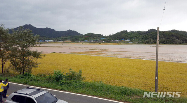 【해남=뉴시스】 = 사진은 지난해 10월 제25호 태풍 '콩레이(KONG-REY)'가 몰고온 폭우로 침수된 전남 해남의 한 농경지. 2019.05.02 (사진=뉴시스DB)
