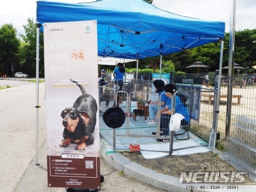 【서울=뉴시스】서울시가 오는 13일과 20일 월드컵공원에서 '강아지와 함께 하는 가을 소풍'을 개최한다. <사진제공=서울시> 2018.10.07.