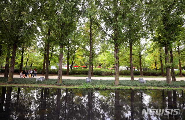 【서울=뉴시스】추상철 기자 = 완연한 가을 날씨를 보인 9일 오전 서울 성동구 서울숲에서 시민들이 나무가 우거진 숲을 거닐고 있다. 2018.10.09. scchoo@newsis.com