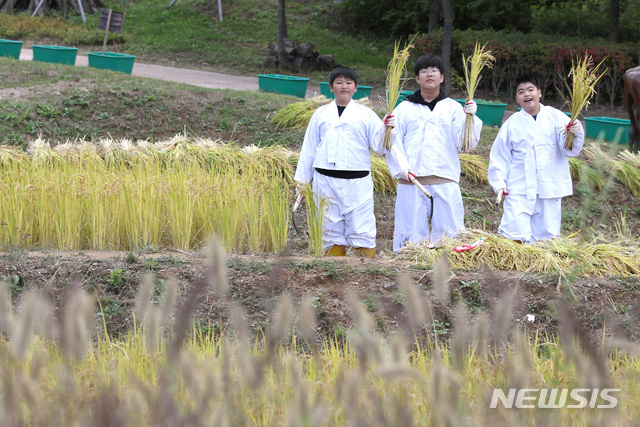 【서울=뉴시스】김선웅 기자 = 10일 서울 강동구 둔촌동 도시농업공원에서 열린 가을걷이 추수행사에서 참여 어린이들이 수확한 벼를 들어보이고 있다. 2018.10.10. mangusta@newsis.com