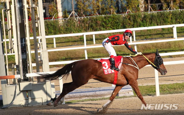 청담도끼와 임기원 기수