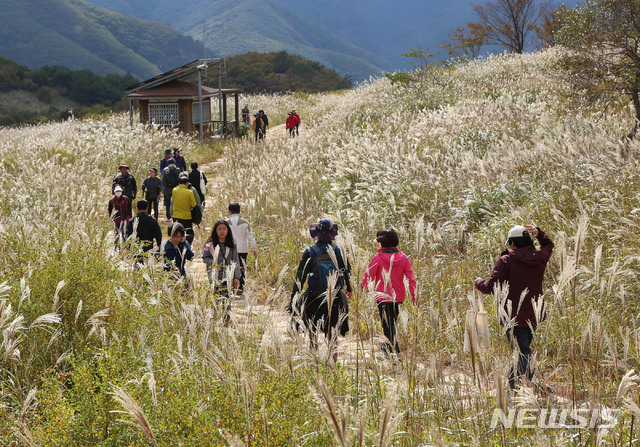 【밀양=뉴시스】김기진 기자 =13일 경남 밀양시 단장면 구천리 재약산 옛 고사리분교에서 탐방객들이 ‘재약산 사자평 생태탐방 행사’에 참여하고 있다. 2018.10.14. (사진=밀양시 제공) photo@newsis.com