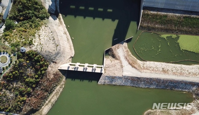  【영주=뉴시스】김진호 기자 = 13일 영주댐이 물감을 풀어놓은 듯 짙은 청록색으로 뒤덮여 있다. 2018.10.15 (사진=내성천보존회 제공) photo@newsis.com