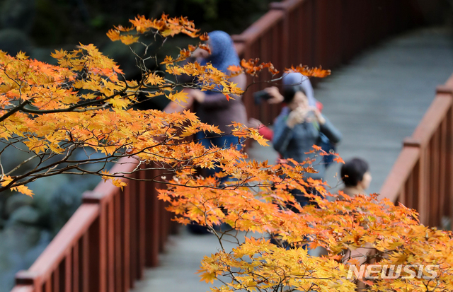 【제주=뉴시스】우장호 기자 = 맑은 날씨를 보인 15일 오후 제주 한라산 어리목 탐방로 초입 부근에 단풍이 아름답게 물든 가운데 관광객들이 깊어가는 가을 정취를 만끽하고 있다. 2018.10.15. woo1223@newsis.com
