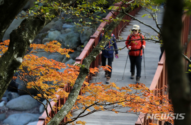 [제주=뉴시스]우장호 기자 = 제주 한라산 어리목 탐방로 초입 부근에 단풍이 아름답게 물든 가운데 관광객들이 깊어가는 가을 정취를 만끽하고 있다. (뉴시스DB) woo1223@newsis.com