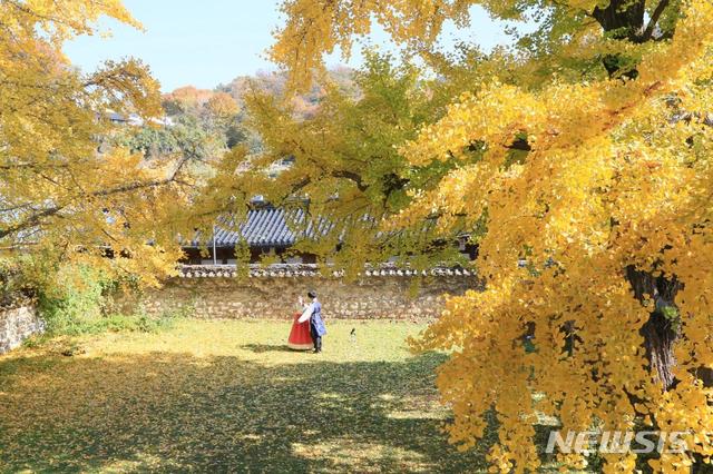 【전주=뉴시스】윤난슬 기자 = 전주한옥마을이 가을철 단풍 구경하기 좋은 여행지 1위로 선정됐다. 2018.10.16.(사진=전주시 제공) photo@newsis.com