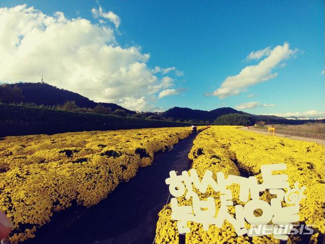 【울산=뉴시스】조현철 기자 = 울산시는 17일 태화강지방정원에서 20일부터 11월 18일까지 국화꽃 관람행사를 펼쳐보인다고 밝혔다. 2018.10.17. (사진=울산시 제공) photo@newsis.com 