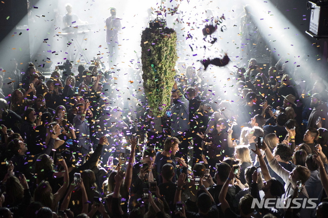 【토론토=AP/뉴시스】 미국인의 66%가 마리화나 합법화에 찬성하고 있다는 여론조사결과가 22일(현지시간) 발표됐다. 사진은 17일 캐나다 정부가 마리화나의 완전한 합법화를 발표하자 기뻐하는 토론토 시민들. 2018.10.23. 