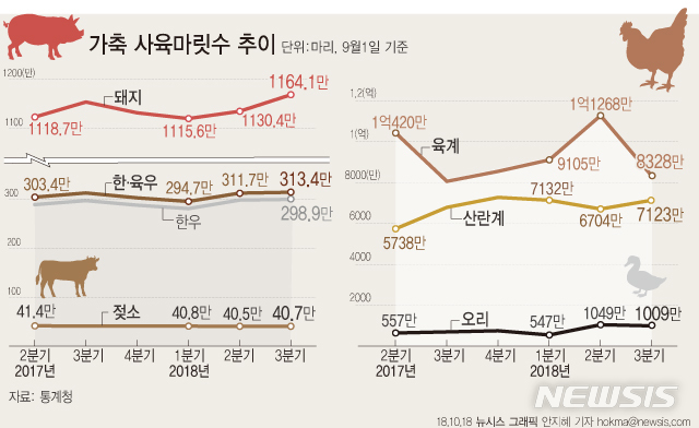 육류 소비 증가에…닭·돼지 사육 역대 최대 