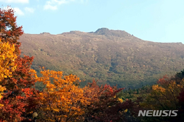 【광주=뉴시스】= 광주기상청은 18일 무등산국립공원의 올해 첫 단풍이 관측됐다고 밝혔다. 2018.10.18. (사진=광주기상청 제공) photo@newsis.com