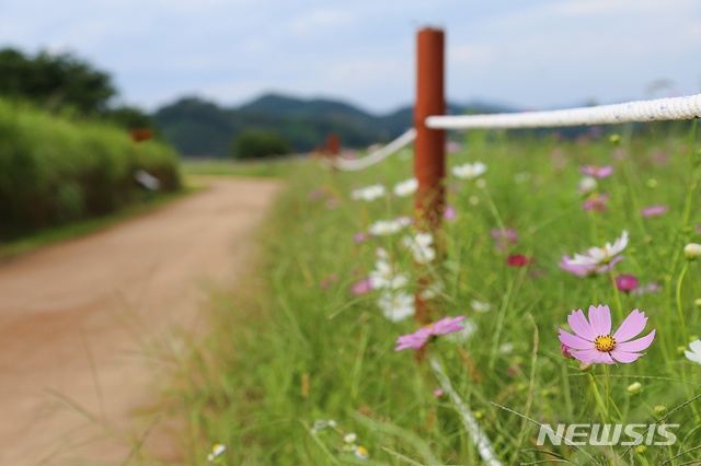 주남 저수지 탐방 둘레길