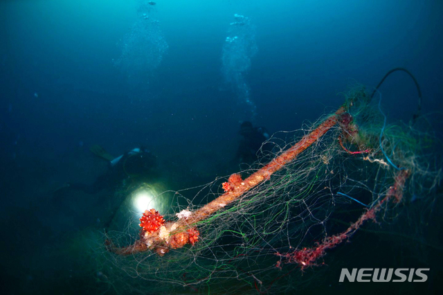 기사와 관련이 없습니다. 사진은 강릉 경포수난전문의용소방대 대원들이 지난 21일 강릉시 주문진항 앞바다 수심 30여ｍ 바닷속에서 폐어구(통발·그물·낚시·밧줄 등)를 수거하는 힘든 작업을 하는 모습. (사진=경포수난전문의용소방대 제공) photo@newsis.com