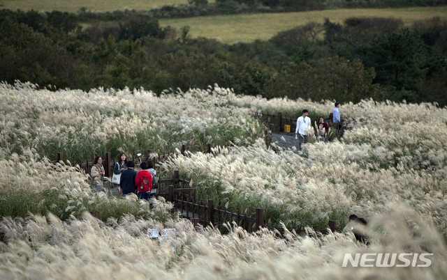 【제주=뉴시스】제주시 조천읍 교래리 산굼부리. (사진=제주관광공사 제공)