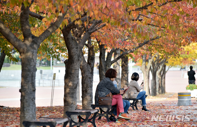【대구=뉴시스】우종록 기자 = 서리가 내리는 시기를 뜻하는 절기 상강(霜降)인 23일 오후 대구 수성구 대흥동 대구스타디움 서편광장에서 시민들이 단풍나무 아래 앉아 가을 정취를 만끽하고 있다. 2018.10.23. wjr@newsis.com