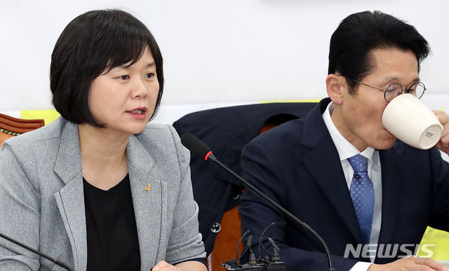 【서울=뉴시스】이종철 기자&nbsp; = 24일 오전 서울 여의도 국회에서 열린 정의당 의원총회에서 이정미 대표가 모두발언을 하고 있다. 2018.10.24.&nbsp; jc4321@newsis.com