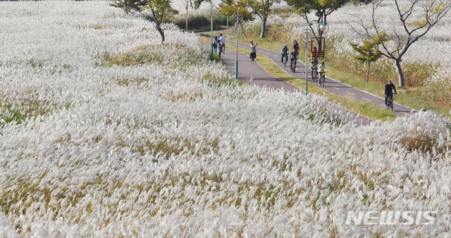 울산시민 자전거 사고나면 최대 3000만원 보험금 지급