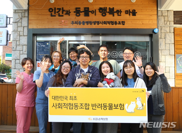 KB손보, 동물병원협동조합 보험출시…개·고양이 실손보장