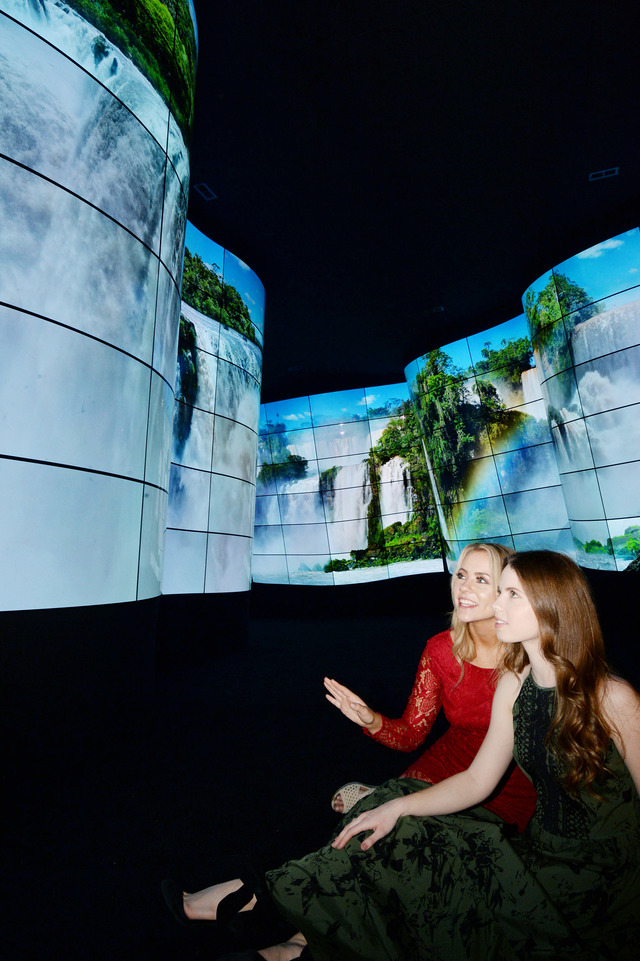 LG가 지난 1월 CES 2018에서 선보인 올레드 246장으로 만든 '올레드 협곡'. 사진=LG 제공