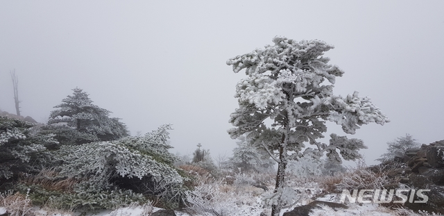 【산청=뉴시스】정경규 기자 = 27일 경남 산청군 지리산 천왕봉 정상 일대에 순백의 상고대가 연출돼 장관을 이뤘다.상고대는 습도가 높은 안개나 구름의 물방울이 나뭇가지에 얼어붙어 생기는 일종의 서리 또는 얼음이다.2018.10.27.(사진=지리산국립공원사무소 제공) photo@newsis.com