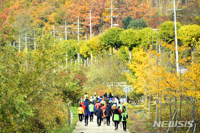 【화천=뉴시스】 화천 산소길 걷기대회. (사진=뉴시스 DB). photo@newsis.com