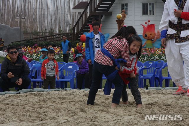 전라남도 신안 튤립축제