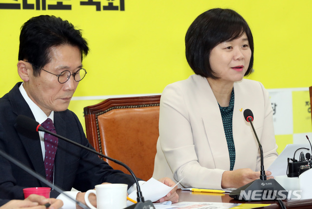 【서울=뉴시스】박영태 기자 = 29일 오전 서울 영등포구 여의도 국회에서 열린 정의당 상무위원회에서 이정미 대표가 발언하고 있디. 2018.10.29.since1999@newsis.com