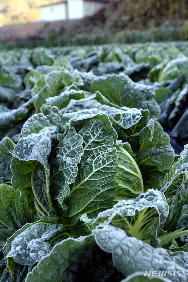 '10월의 마지막 날' 쌀쌀한 날씨 계속…서울 아침 4도