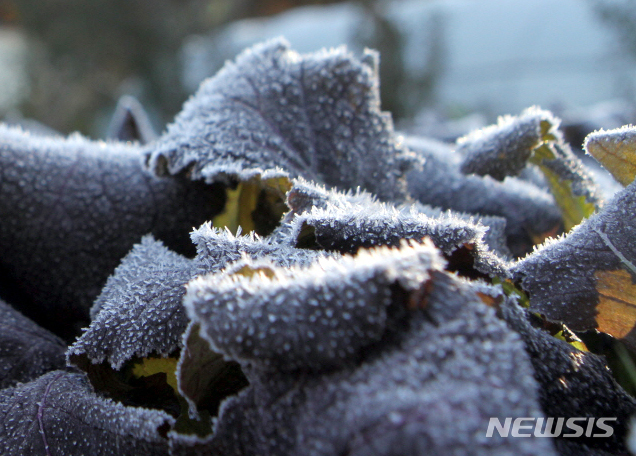 (사진=뉴시스 DB)