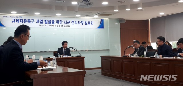 【창원=뉴시스】 홍정명 기자 = 30일 경남도청 신관 회의실에서 천성봉 미래산업국장 주재로 '규제자유특구 사업 발굴을 위한 시·군 건의사항 발표회'가 열리고 있다.2018.10.30.(사진=경남도 제공) photo@newsis.com