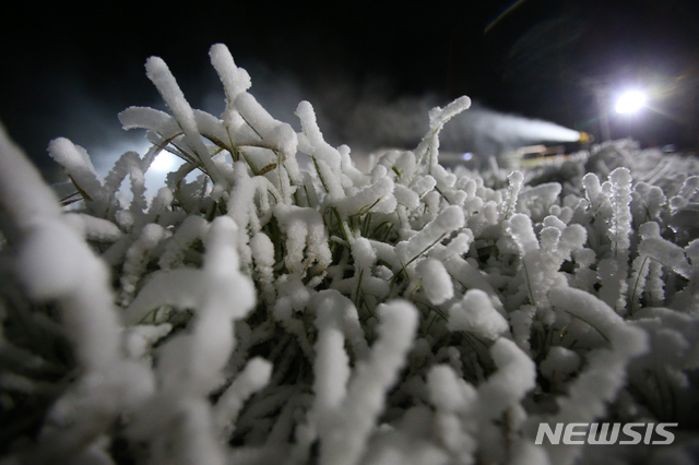 【펑창=뉴시스】김경목 기자 = 30일 새벽 강원 평창군 대관령면의 기온이 영하 2도로 떨어진 가운데 용평리조트 스키장의 슬로프 잔디에 제설기로 만들어진 인공 눈이 내려 쌓이고 있다. 이날 제설은 2018~2019 시즌 첫 제설로 지난해보다 1일 빠르다. 2018.10.30. photo31@newsis.com