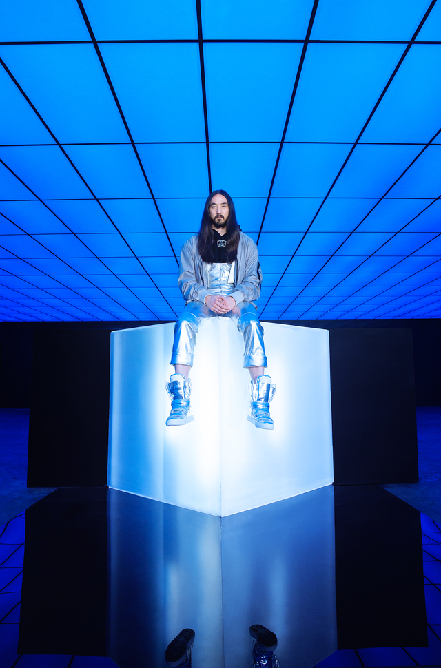 스티브 아오키 "방탄소년단, 반백년 전 이소룡이다"