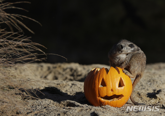 게임업계, '할로윈' 특수 노린다…게임 이벤트 돌입 