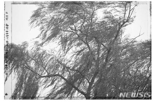 【서울=뉴시스】CAN YOU HEAR THE WIND BLOW, 2009 ⓒ김중만 KIM Jungman 