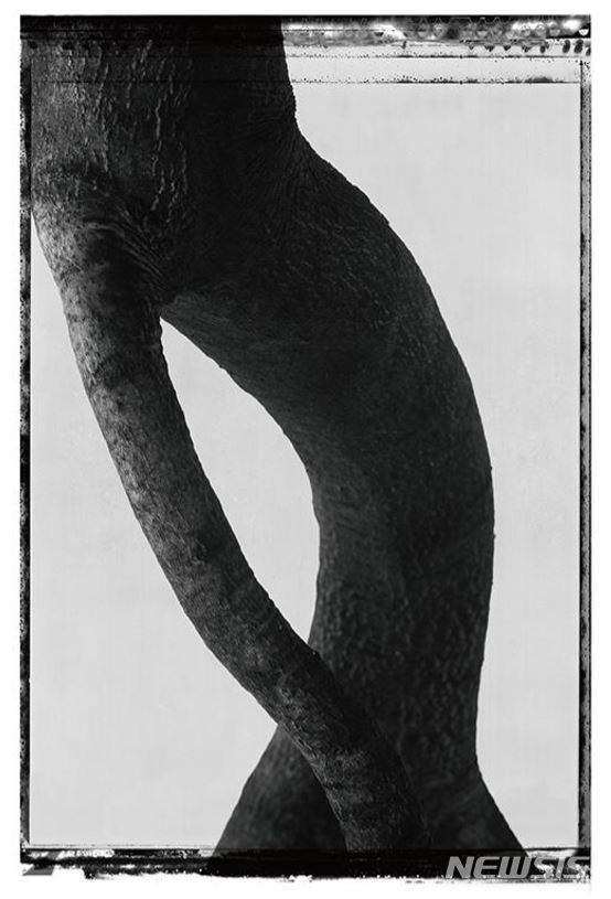 【서울=뉴시스】 WALKING HUMAIST, 2008 ⓒ김중만 KIM Jungman 