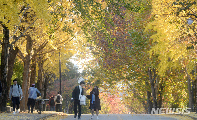 【전주=뉴시스】김얼 기자= 완연한 가을 날씨를 보인 1일 전북 전주시 덕진구 덕진동 전북대학교 교정에 낙엽이 쌓여 있어 가을 분위기가 물씬 풍기고 있다. 2018.11.01pmkeul@newsis.com