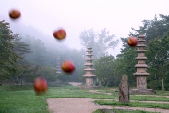 신현림 '운주사 사진전'. 뉴시스DB 