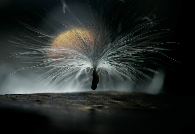 [뉴시스 인터뷰]유병완, 파킨슨병과 친구돼 ‘♡사진가’로 거듭났다