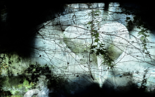 [뉴시스 인터뷰]유병완, 파킨슨병과 친구돼 ‘♡사진가’로 거듭났다