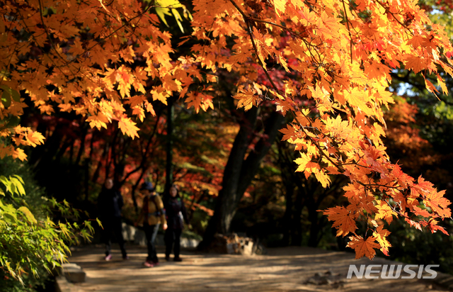 【서울=뉴시스】박진희 기자 = 11월 첫 주말인 3일 오후 서울 서대문구 안산 자락길 단풍이 짙게 물들어 가고 있다. 2018.11.03. pak7130@newsis.com