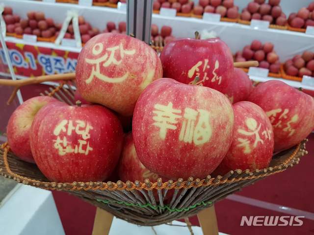【영주=뉴시스】김진호 기자 = 다양한 글씨가 새겨진 영주사과. 2018.11.04 (사진=영주시 제공) photo@newsis.com