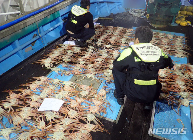 【부산=뉴시스】 하경민 기자 = 해양수산부 동해어업관리단은 포획 금지기간 중 대게를 불법 조업한 연안통발어선 M호(9.77t·승선원 4명)를 적발했다고 5일 밝혔다. 2018.11.05. (사진=동해어업관리단 제공)yulnetphoto@newsis.com