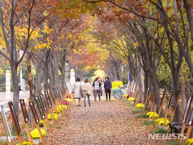 【창원=뉴시스】강경국 기자 = 제14회 창원단풍거리축전이 오는 9일부터 11일까지 경남 창원시 용호동 일원과 성산아트홀 주변에서 열린다.2018.11.07. (사진=창원시청 제공) photo@newsis.com