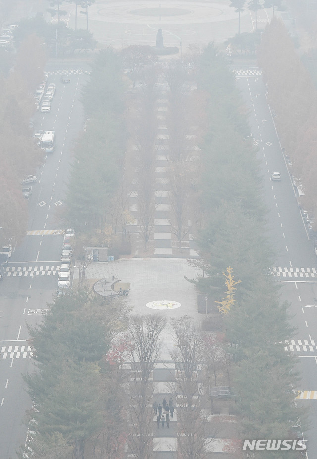 【대전=뉴시스】함형서 기자 = 7일 오전 대전 서구 둔산동 대전시청 앞 공원에서 시민들이 길을 걷고 있다. 2018.11.07foodwork23@newsis.com