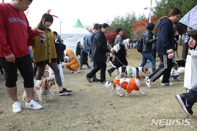 【서울=뉴시스】서울 강동구는 지난 10일 일자산 잔디광장에서 '2018 반려동물 사랑나눔 걷기대회'를 열었다고 11일 밝혔다. 2018.11.11. (사진=강동구 제공)
