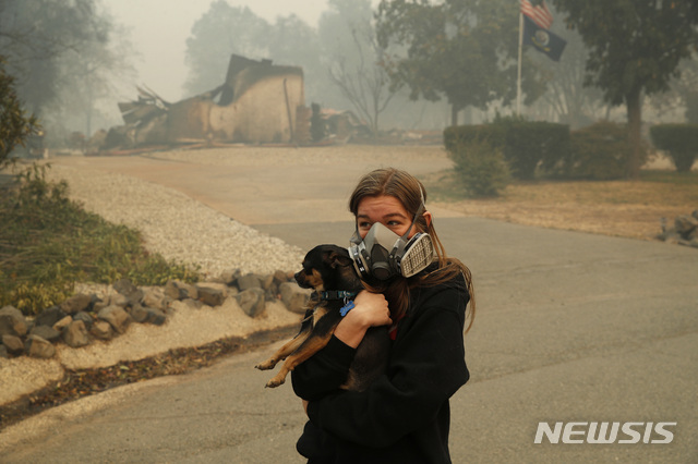 【파라다이스=AP/뉴시스】 미국 캘리포니아 패러다이스에서 10일(현지시간) 마스크를 쓴 한 주인이 반려견을 안고 대피하고 있다. 2018.11.13.