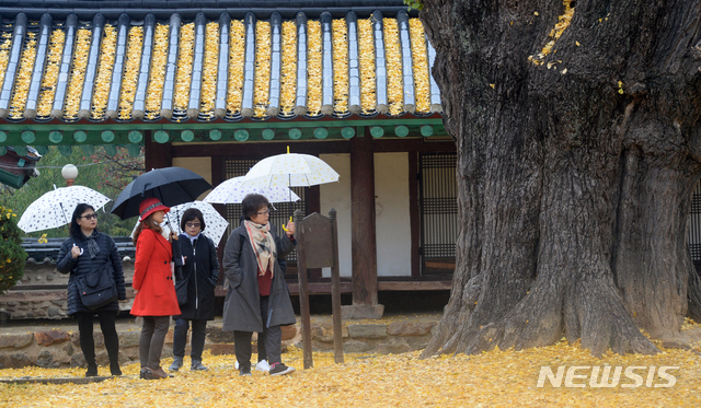 【전주=뉴시스】김얼 기자= 서늘한 바람과 함께 비가 내린 16일 전북 전주시 완산구 교동 전주향교 명륜당 앞에서 관광객들이 떨어져 내린 낙엽을 밟으며 늦가을의 정취를 느끼고 있다. 2018.11.16pmkeul@newsis.com