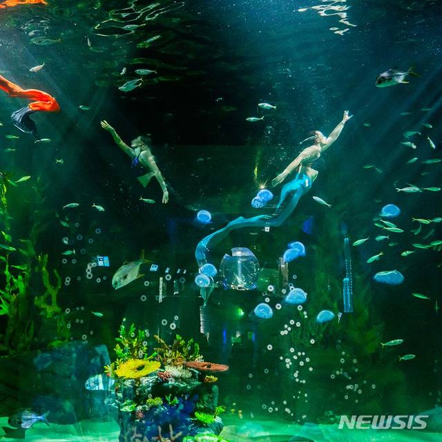 '수족관·동물원' 함께 만나는 부천 '플레이아쿠아리움'